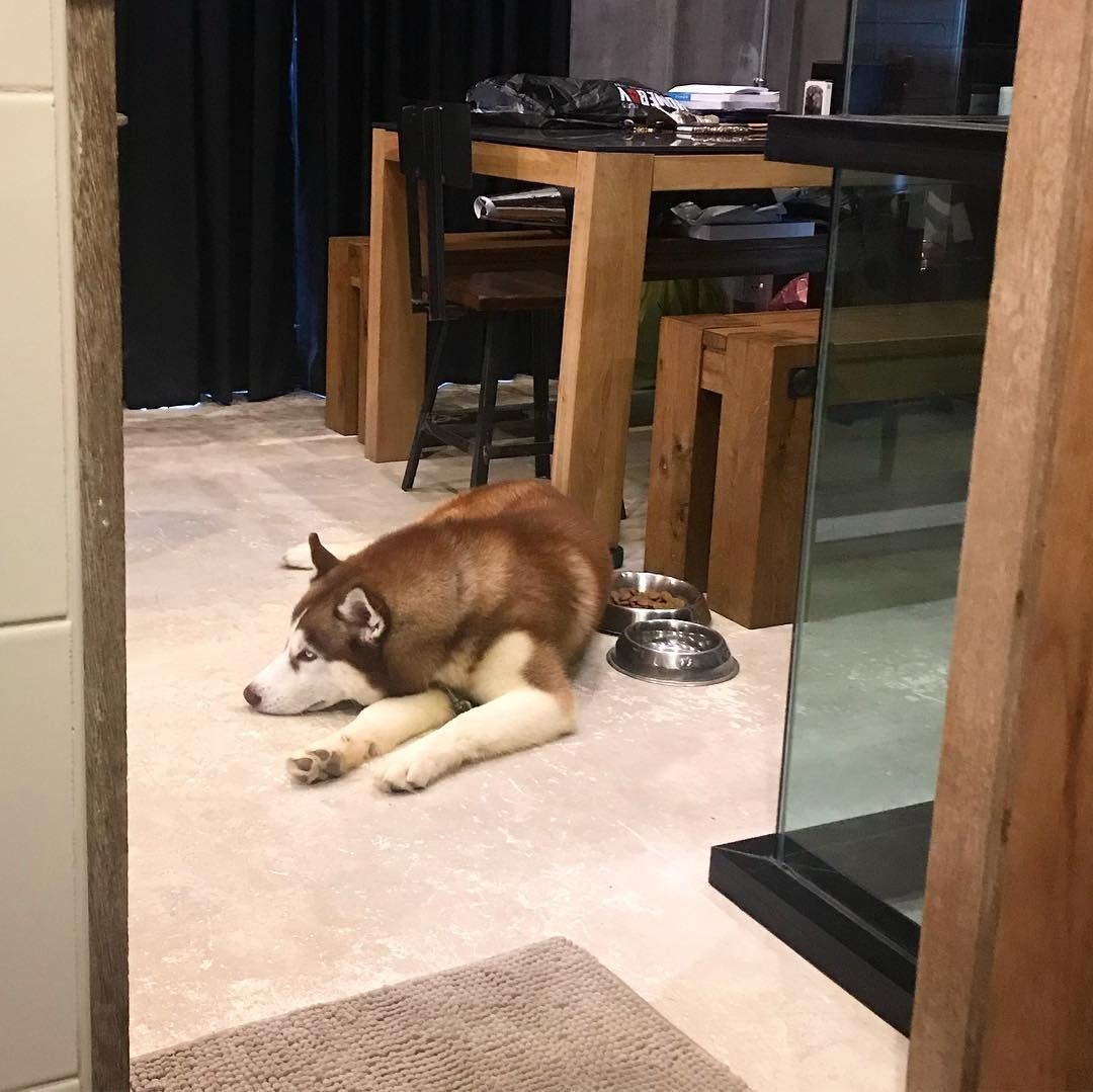 “วิทย์ AF1” ซื้อบ้านแล้วทุบ รื้อ ตกแต่งเป็นสไตล์ตัวเอง แพลนตอนแก่ไปอยู่นครนายก