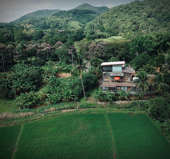 ชีวิตติดนา “บ้านไก่โห่” บ้านหลังที่สองของ “เป๊ก-นิว” โฮมสเตย์กลางทุ่งข้าวที่เชียงใหม่