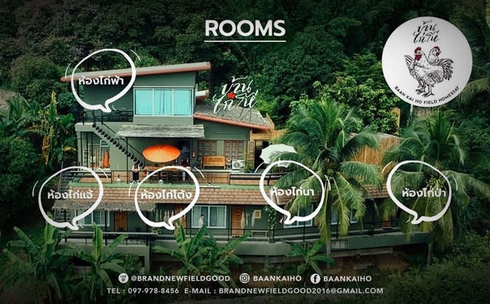 ชีวิตติดนา “บ้านไก่โห่” บ้านหลังที่สองของ “เป๊ก-นิว” โฮมสเตย์กลางทุ่งข้าวที่เชียงใหม่