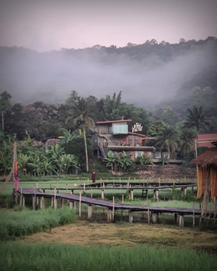 ชีวิตติดนา “บ้านไก่โห่” บ้านหลังที่สองของ “เป๊ก-นิว” โฮมสเตย์กลางทุ่งข้าวที่เชียงใหม่