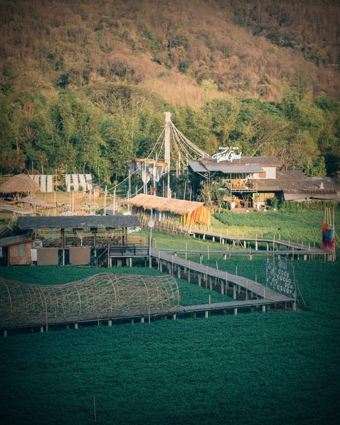 ชีวิตติดนา “บ้านไก่โห่” บ้านหลังที่สองของ “เป๊ก-นิว” โฮมสเตย์กลางทุ่งข้าวที่เชียงใหม่