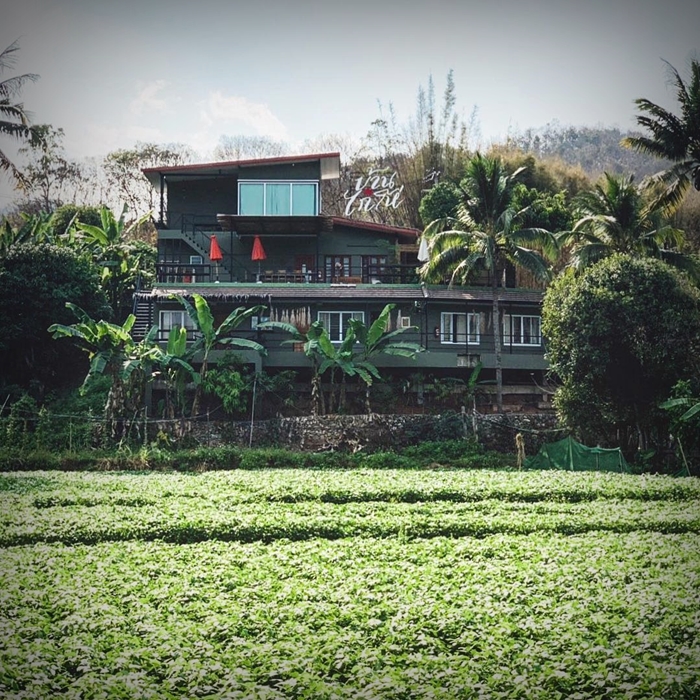 ชีวิตติดนา “บ้านไก่โห่” บ้านหลังที่สองของ “เป๊ก-นิว” โฮมสเตย์กลางทุ่งข้าวที่เชียงใหม่