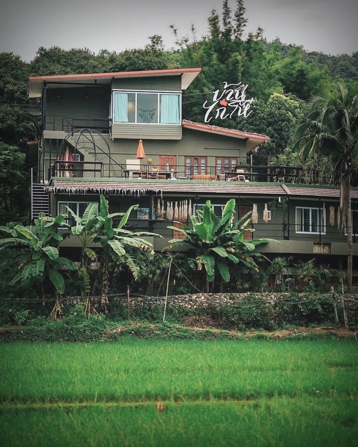 ชีวิตติดนา “บ้านไก่โห่” บ้านหลังที่สองของ “เป๊ก-นิว” โฮมสเตย์กลางทุ่งข้าวที่เชียงใหม่