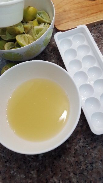 ชวนมาทำ "น้ำมะนาวก้อนแช่แข็ง" เก็บไว้ได้นาน ปรุงได้หมดทั้งอาหารคาวหวาน และเครื่องดื่ม