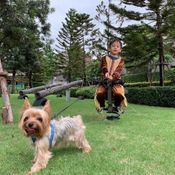 เปิดบ้าน “สิงโต นำโชค” ทุกมุมในบ้านเต็มไปด้วยสีสันของ 3 หนุ่มน้อยแสนซน