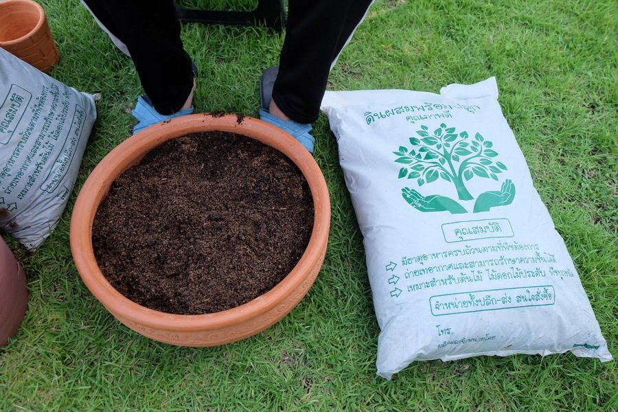 รีวิว “จัดสวนถาดกุหลาบหิน” สวยงาม โตไว ดูแลง่ายด้วยงบ 240 บาท