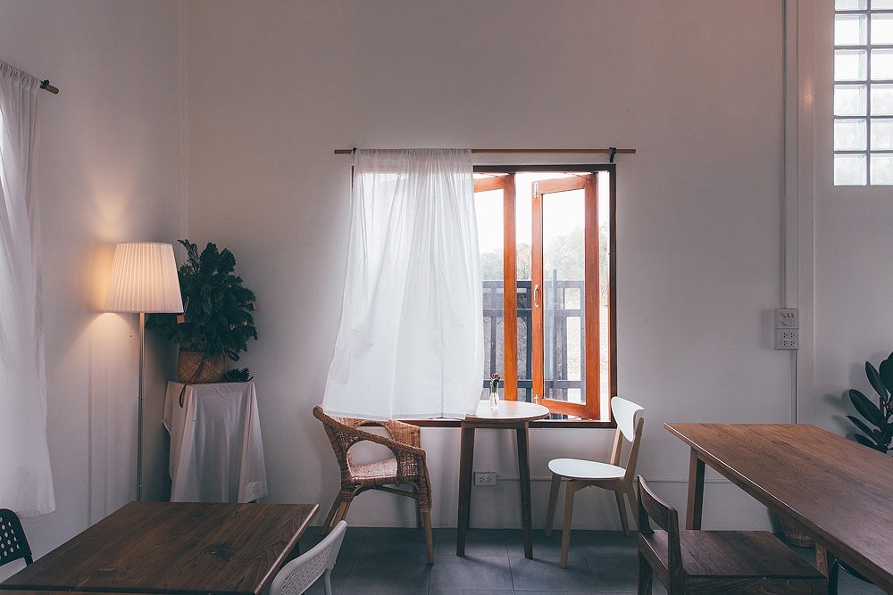 13 ไอเดียเพิ่มไอเทมใหม่ให้ต้นไม้แสนรัก