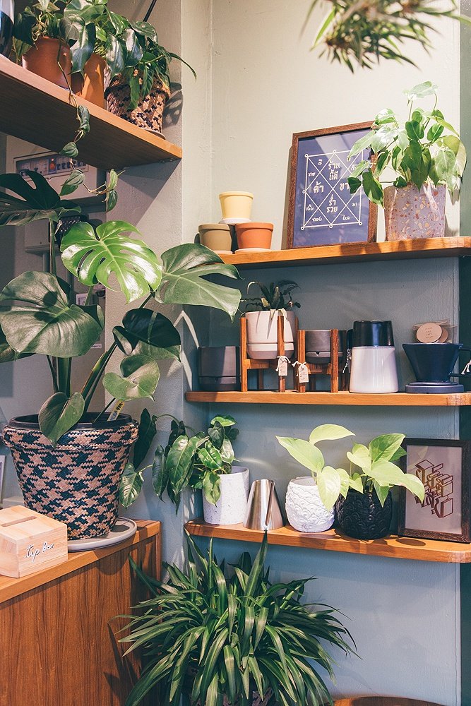 13 ไอเดียเพิ่มไอเทมใหม่ให้ต้นไม้แสนรัก