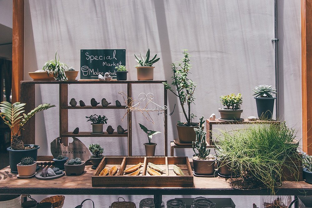 13 ไอเดียเพิ่มไอเทมใหม่ให้ต้นไม้แสนรัก