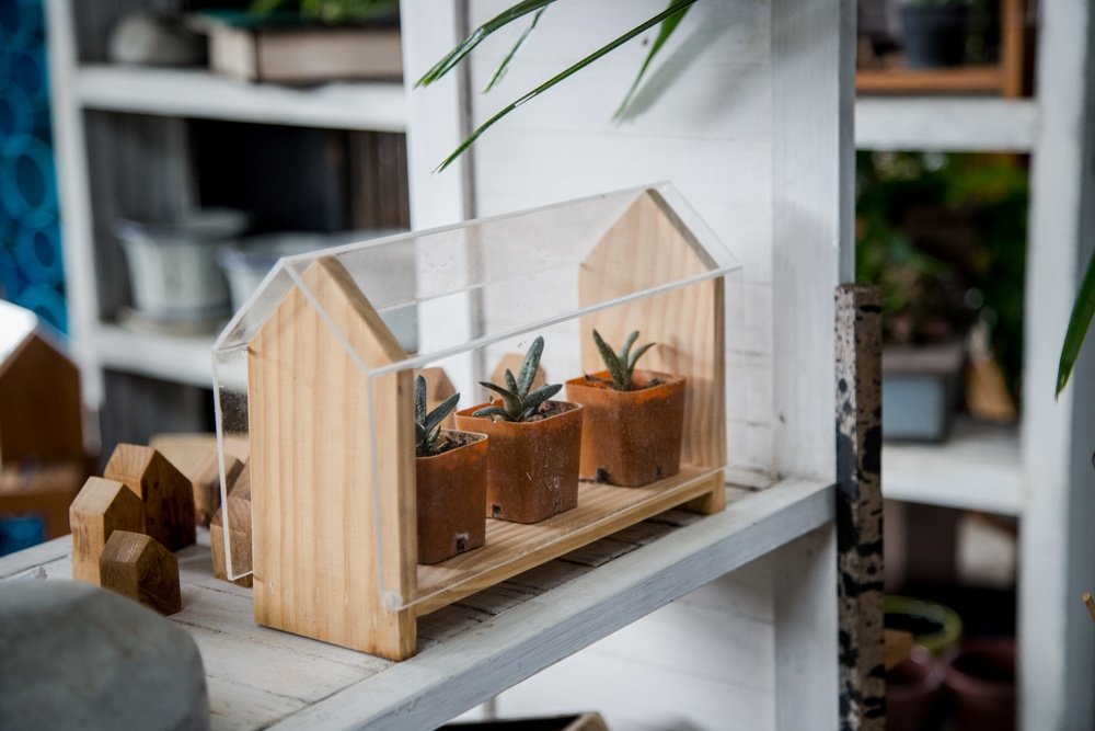 13 ไอเดียเพิ่มไอเทมใหม่ให้ต้นไม้แสนรัก