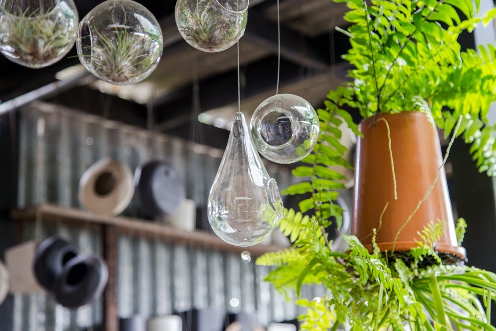 13 ไอเดียเพิ่มไอเทมใหม่ให้ต้นไม้แสนรัก