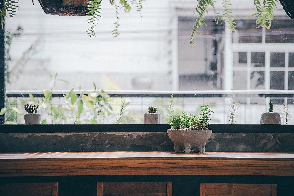 13 ไอเดียเพิ่มไอเทมใหม่ให้ต้นไม้แสนรัก