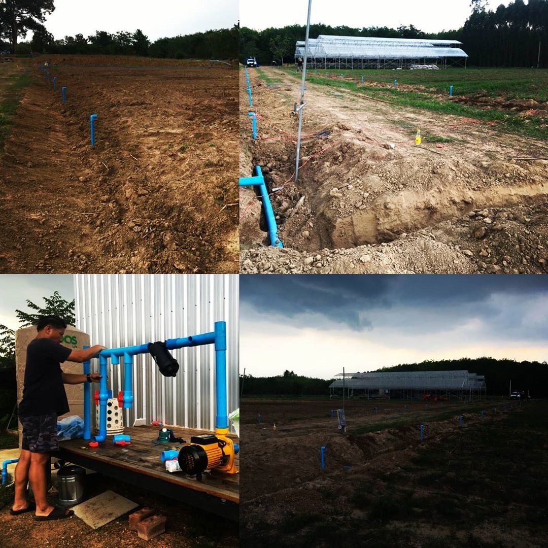 ไปให้สุดแล้วหยุดที่ ฟาร์มออร์แกนิค "เสนาหอย" ผันชีวิตติดเที่ยว สู่ภาคเกษตร