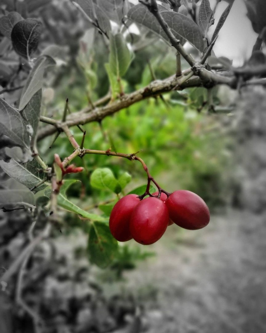 ไปให้สุดแล้วหยุดที่ ฟาร์มออร์แกนิค "เสนาหอย" ผันชีวิตติดเที่ยว สู่ภาคเกษตร