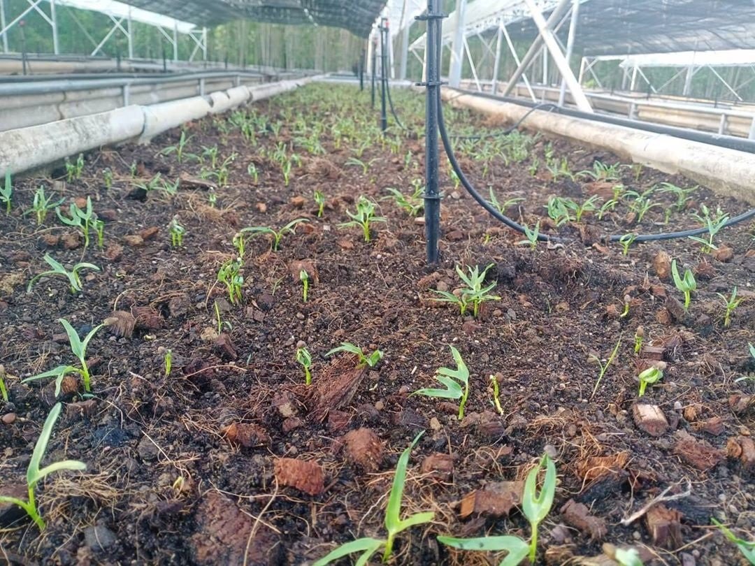 ไปให้สุดแล้วหยุดที่ ฟาร์มออร์แกนิค "เสนาหอย" ผันชีวิตติดเที่ยว สู่ภาคเกษตร