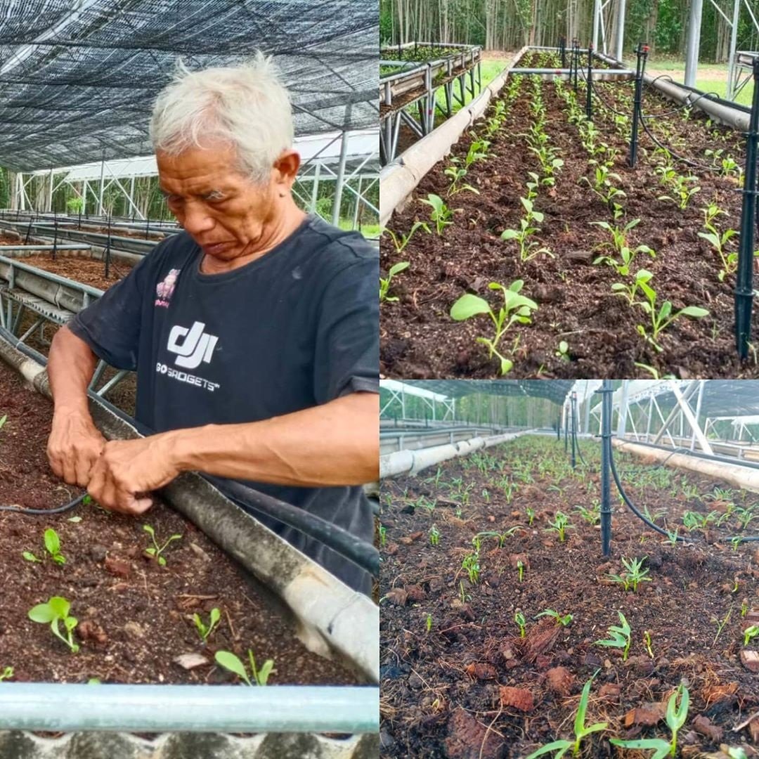 ไปให้สุดแล้วหยุดที่ ฟาร์มออร์แกนิค "เสนาหอย" ผันชีวิตติดเที่ยว สู่ภาคเกษตร