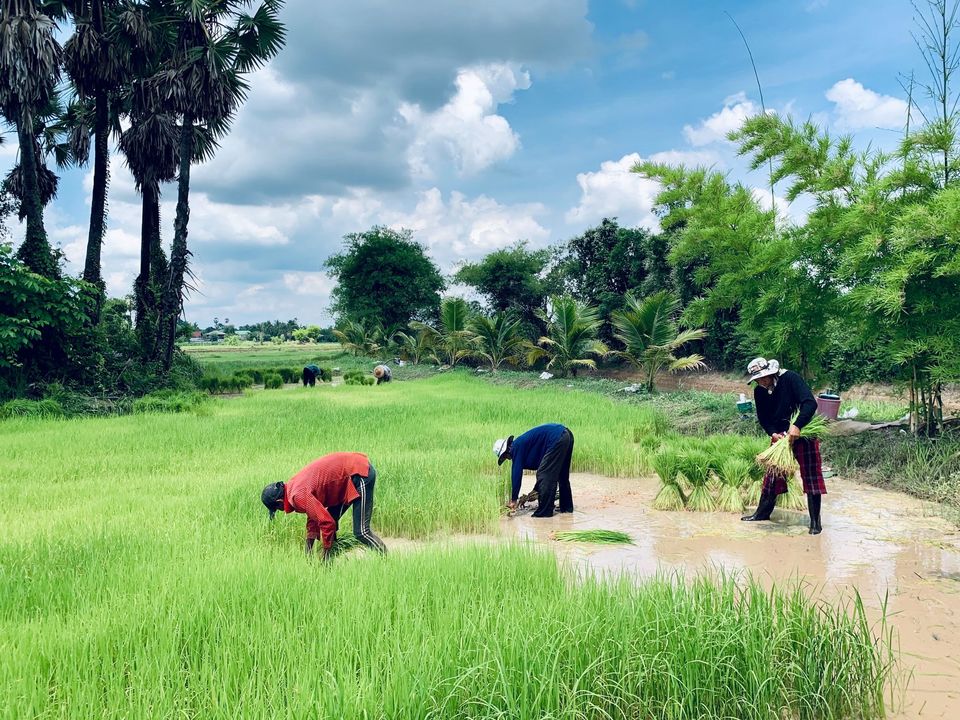 "บ้านไมค์ ภิรมย์พร" อาณาจักรเรือกสวนไร่นา ชีวิตที่พึ่งพาความเรียบง่าย