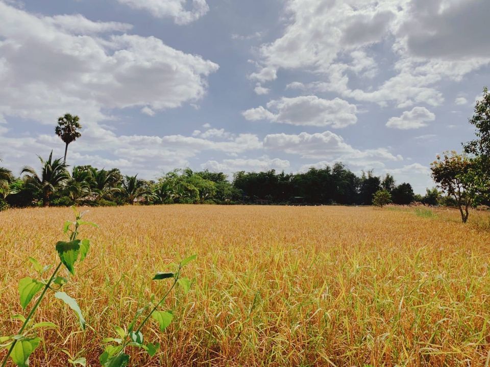 "บ้านไมค์ ภิรมย์พร" อาณาจักรเรือกสวนไร่นา ชีวิตที่พึ่งพาความเรียบง่าย