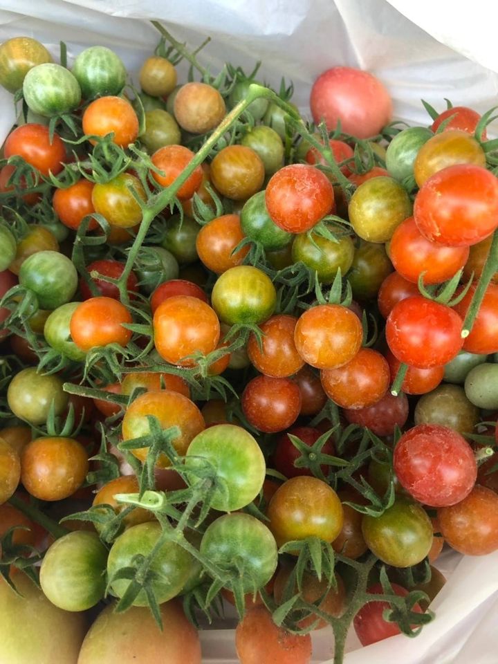 "บ้านไมค์ ภิรมย์พร" อาณาจักรเรือกสวนไร่นา ชีวิตที่พึ่งพาความเรียบง่าย