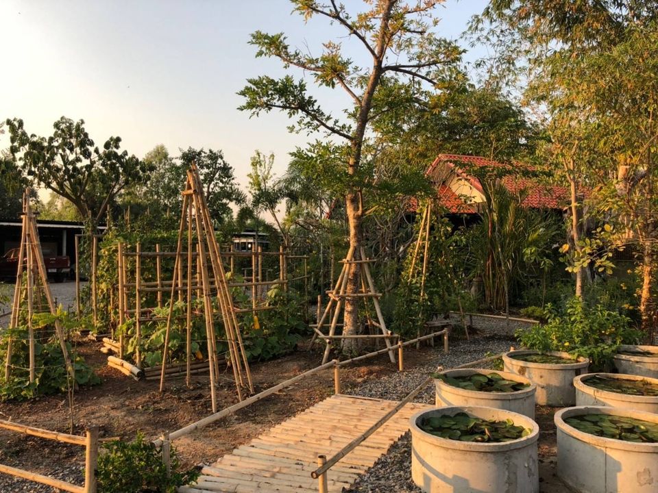 "บ้านไมค์ ภิรมย์พร" อาณาจักรเรือกสวนไร่นา ชีวิตที่พึ่งพาความเรียบง่าย