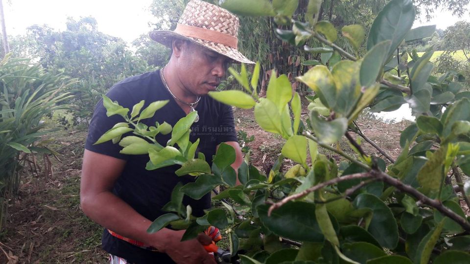 "บ้านไมค์ ภิรมย์พร" อาณาจักรเรือกสวนไร่นา ชีวิตที่พึ่งพาความเรียบง่าย