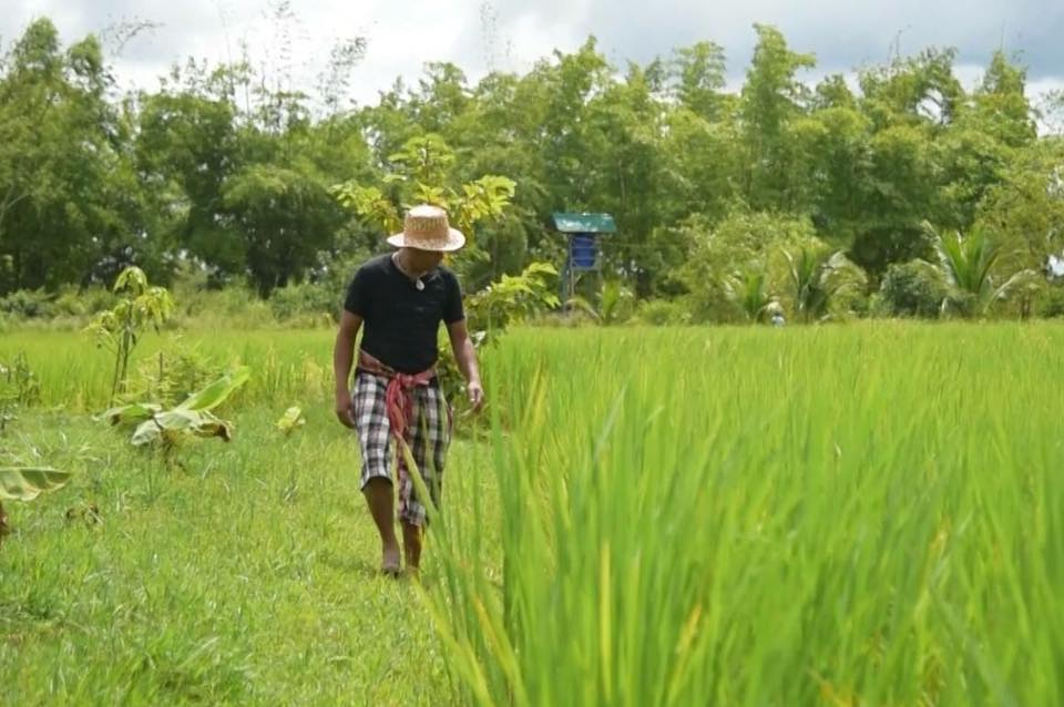 "บ้านไมค์ ภิรมย์พร" อาณาจักรเรือกสวนไร่นา ชีวิตที่พึ่งพาความเรียบง่าย