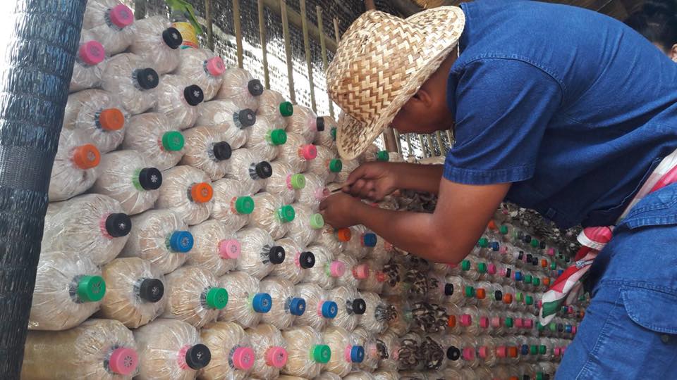 "บ้านไมค์ ภิรมย์พร" อาณาจักรเรือกสวนไร่นา ชีวิตที่พึ่งพาความเรียบง่าย