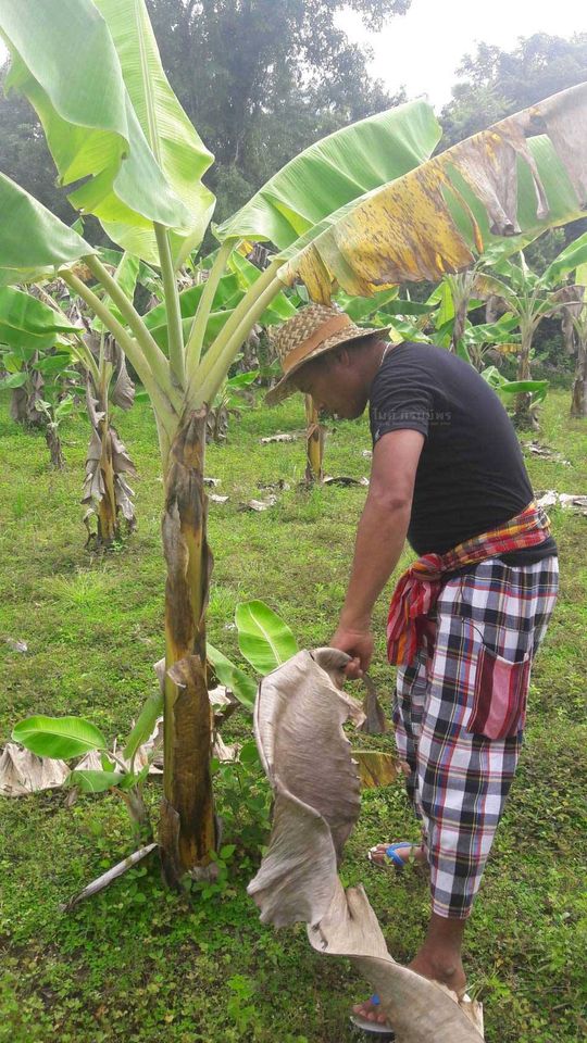 "บ้านไมค์ ภิรมย์พร" อาณาจักรเรือกสวนไร่นา ชีวิตที่พึ่งพาความเรียบง่าย