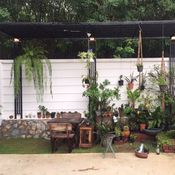 รีวิว “การทำระแนงเหล็ก” จัดสวนข้างบ้านทาวน์โฮมด้วยตัวคนเดียว