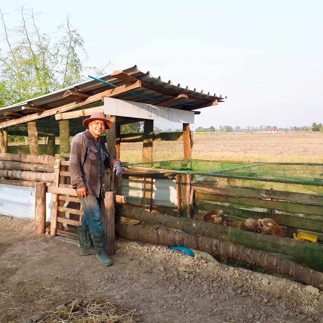 ไร่นาสวนผสมของ “เปา เปาวลี” ที่จังหวัดสุพรรณฯ เลี้ยงไก่ เลี้ยงวัว ปลูกข้าว จัดเต็ม
