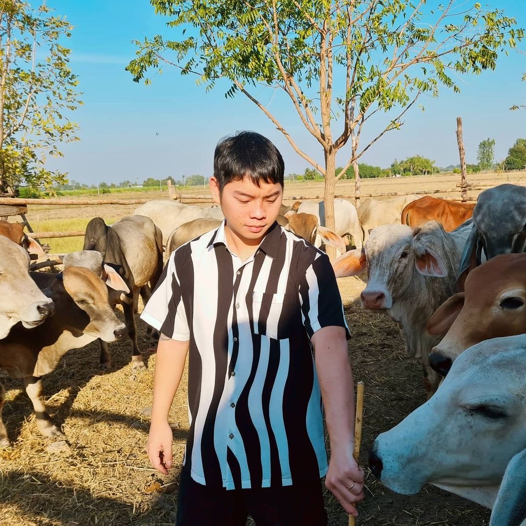 ไร่นาสวนผสมของ “เปา เปาวลี” ที่จังหวัดสุพรรณฯ เลี้ยงไก่ เลี้ยงวัว ปลูกข้าว จัดเต็ม