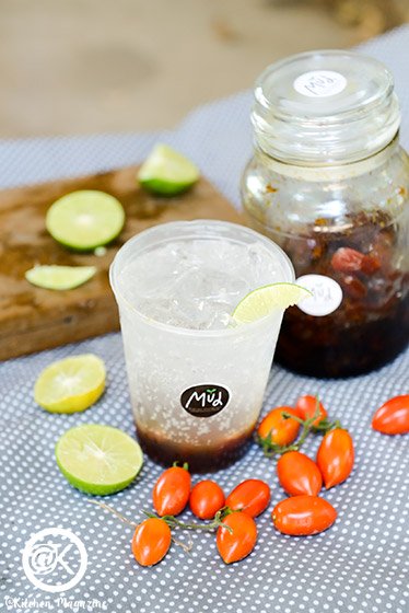 วิธีปลูกมะเขือเทศจากเมล็ด ง่ายเหมือนจับมือทำ โดยเจ้าของไร่มะเขือเทศออร์แกนิกจากนครปฐม