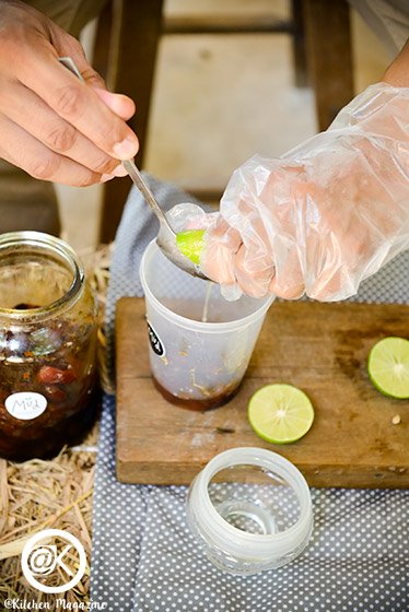 วิธีปลูกมะเขือเทศจากเมล็ด ง่ายเหมือนจับมือทำ โดยเจ้าของไร่มะเขือเทศออร์แกนิกจากนครปฐม