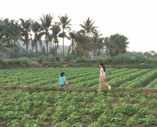เปิดบ้านกลางหุบเขาที่จังหวัดเชียงราย ของ "โจ๊กเกอร์ นพชัย" บรรยากาศดี๊ดี
