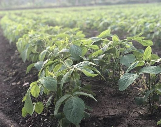 เปิดบ้านกลางหุบเขาที่จังหวัดเชียงราย ของ "โจ๊กเกอร์ นพชัย" บรรยากาศดี๊ดี