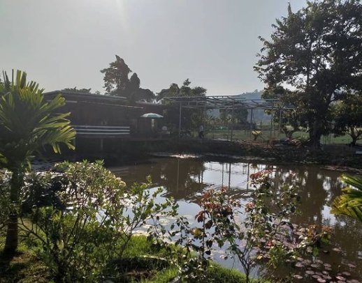 เปิดบ้านกลางหุบเขาที่จังหวัดเชียงราย ของ "โจ๊กเกอร์ นพชัย" บรรยากาศดี๊ดี