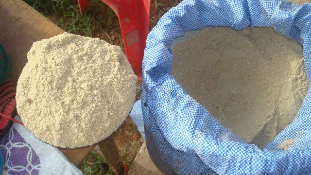 วิธีเลี้ยงปลาซิวเพื่อประกอบอาชีพ เลี้ยงง่าย ใช้พื้นที่ไม่มาก เปิดโอกาสสร้างรายได้อย่างยั่งยืน