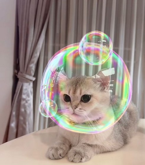 เปิดบ้าน และออฟฟิศ "แอนนา ทีวีพูล" เพื่อนสนิทแตงโม นิดา