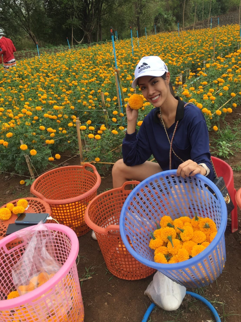 มิสแกรนด์ลพบุรี2023