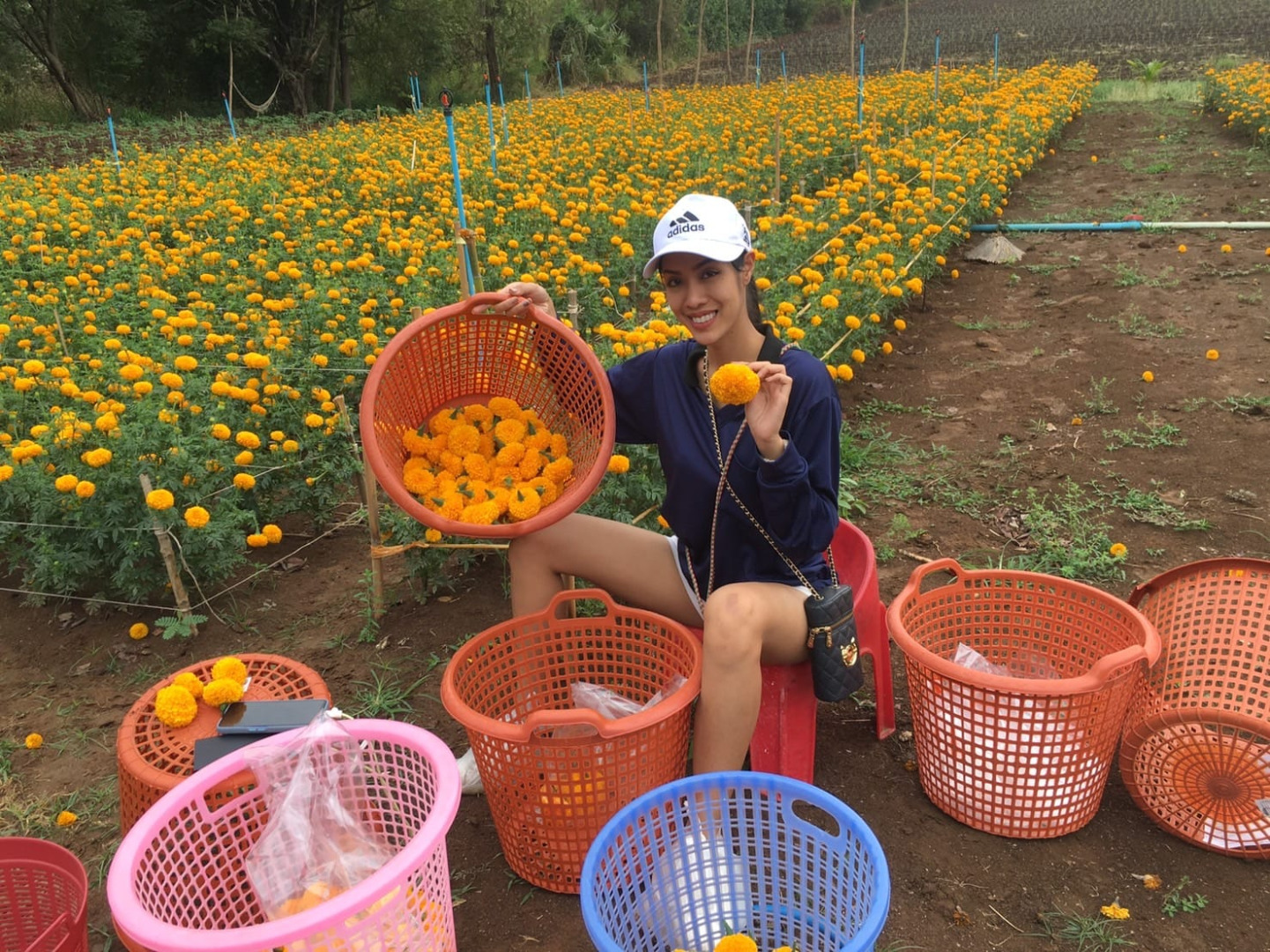 มิสแกรนด์ลพบุรี2023