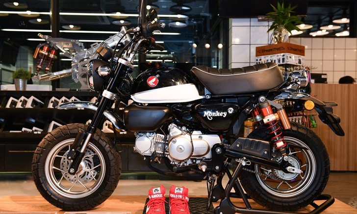 Honda Monkey Limited Edition 2019 รุ่นพิเศษใหม่ 3 แบบ ราคาเริ่ม 117,700 บาท
