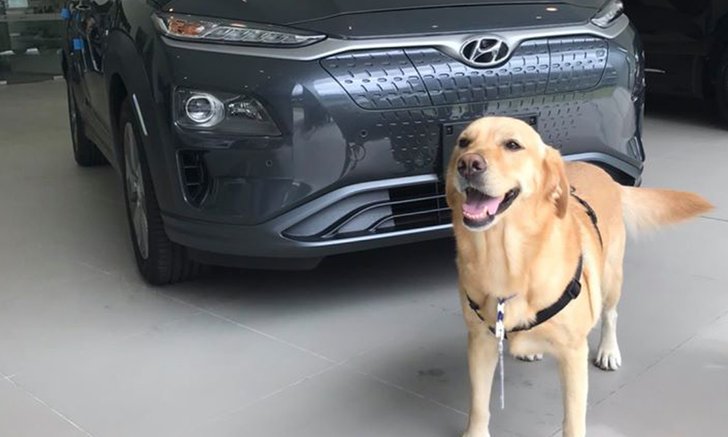 ส่องความน่ารัก “น้องโอนลี่” พนักงานพาร์ทไทม์แสนรู้แห่งค่าย Hyundai