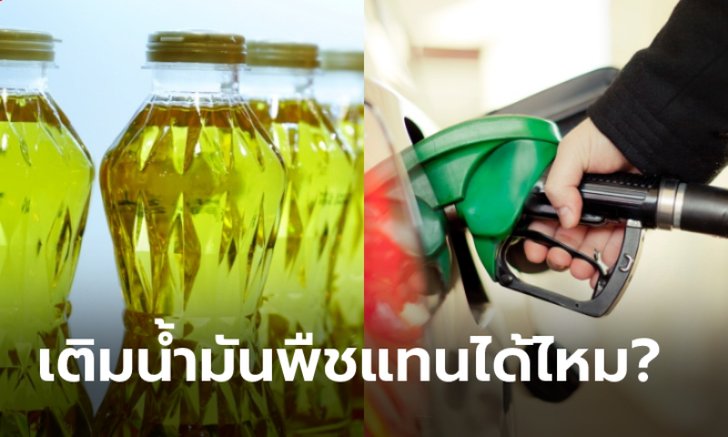 เติม "น้ำมันพืช" แทน "น้ำมันเชื้อเพลิง" ในรถยนต์ได้หรือไม่?