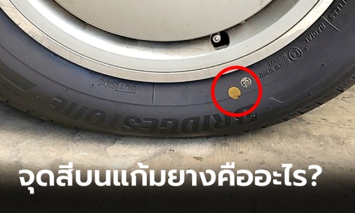 จุดสีเหลืองและสีแดงบนแก้มยาง แท้จริงแล้วหมายถึงอะไร?
