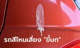 เกิดมาเพิ่งรู้! รถสีไหนเสี่ยงโดน "ขี้นก" มากที่สุด?