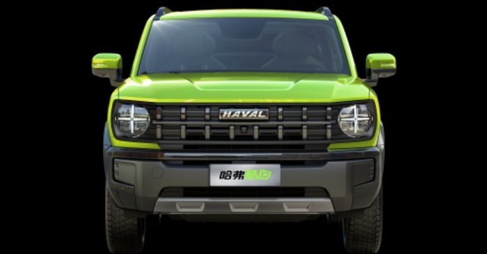 Haval x dog