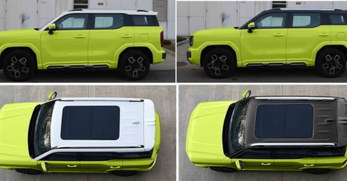 Haval x dog