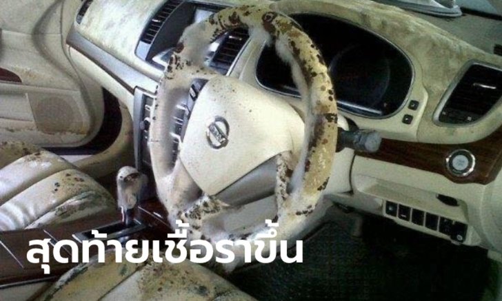 .อย่าคิดทำ! ใช้ถุงพลาสติกหุ้มรถกันน้ำท่วม สุดท้ายเชื้อราขึ้นเพียบ.