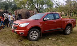 บุกป่าฝ่าดงไปกับ Chevrolet Colorado 2014 ใหม่ ควบพลังดีเซล 200 แรงม้า!