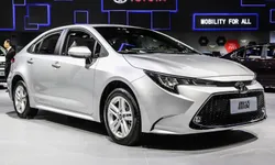 ไปดู All-new Toyota Levin 2019 ใหม่ อัลติสเวอร์ชั่นสปอร์ตที่ไม่เข้าไทย
